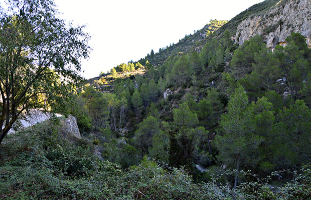 Finca-La-Garriga-Vall-de-Gallinera-Silvoturismo-Mediterráneo