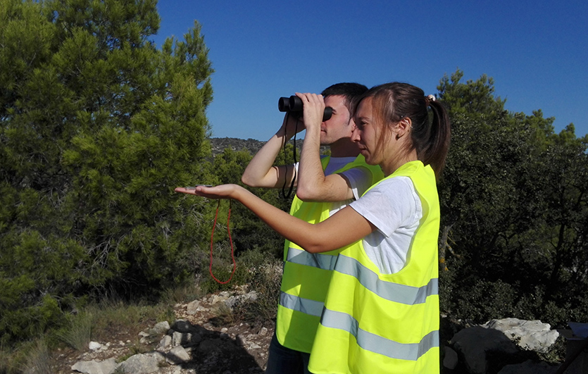 Voluntariado-Ambiental-2018-Diputación-de-Alicante-Silvoturismo Mediterráneo