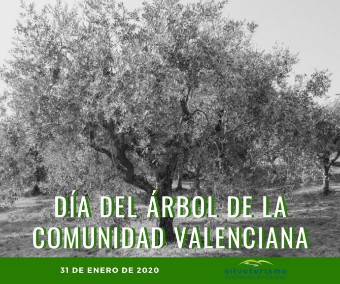 Día-del-Árbol-de-la-Comunidad-Valenciana-Silvoturismo-Mediterráneo